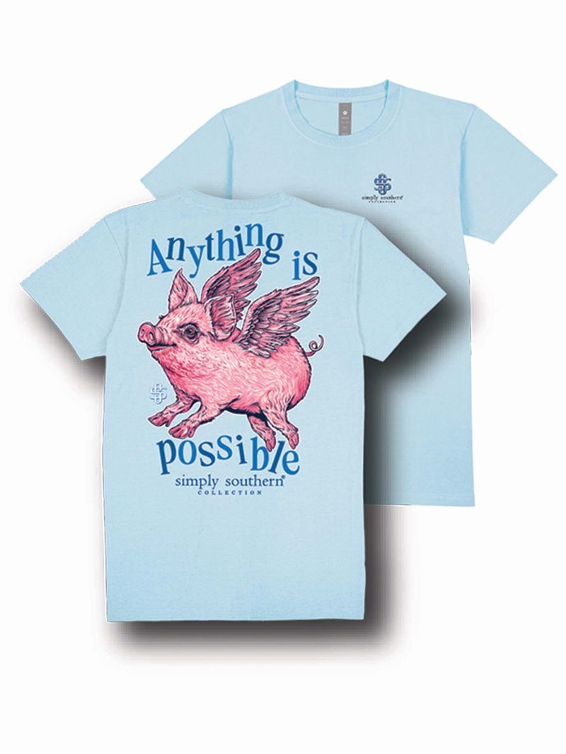 SS-PIG-ICE TEE