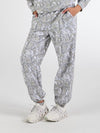 PNT-ALICE-CAMO